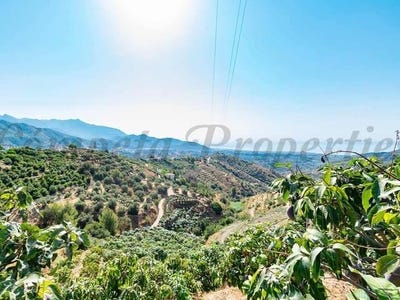/international/es/torrox-andalusia-310101902459/