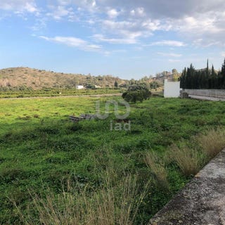 /international/es/oliva-valencian-community-310100715025/