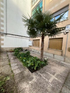 /international/es/calle-san-pelayo-ciudad-rodrigo-castile-and-leon-310107217564/