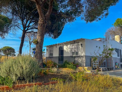 /international/es/huelva-andalusia-310099947466/