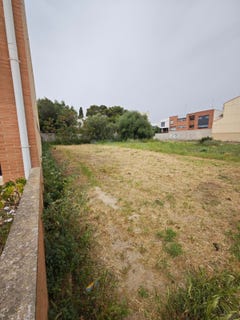 /international/es/carrer-de-cervantes-amposta-catalonia-310107618641/