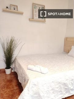 /international/es/valladolid-castile-and-leon-310106992473/