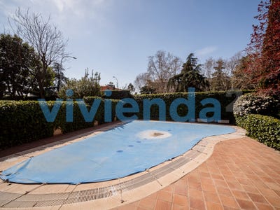 /international/es/san-pascual-castile-and-leon-310108698365/