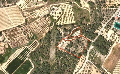 /international/es/carrer-dels-pinars-vallmoll-catalonia-310105338485/