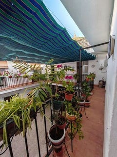 /international/es/emilio-castelar-ecija-andalusia-310107948213/
