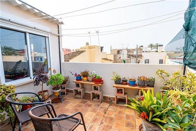 /international/es/palma-de-mallorca-balearic-islands-310101160189/