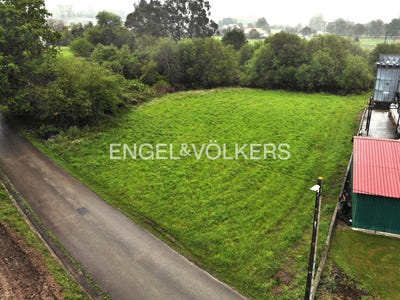 /international/es/pielagos-cantabria-310100637487/