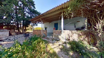 /international/es/lligallo-de-sant-jaume-ulldecona-catalonia-310107063391/