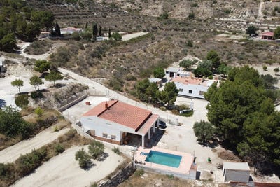 /international/es/crevillente-valencian-community-310108923957/