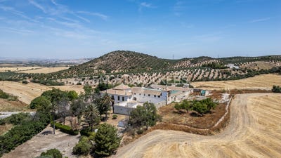 /international/es/osuna-andalusia-310100637465/