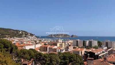 /international/es/l-estartit-catalonia-310107912242/