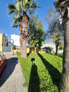 /international/es/huerta-chica-gelves-andalusia-310103644652/