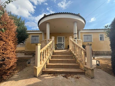 /international/es/catral-valencian-community-310105625978/