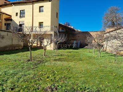 /international/es/berlanga-de-duero-castile-and-leon-310100664310/