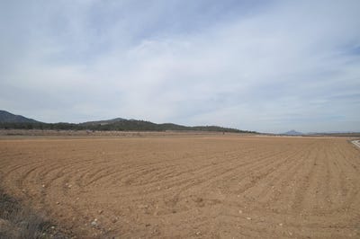 /international/es/monover-valencian-community-310100737720/