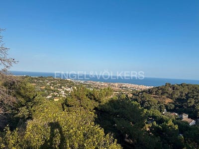 /international/es/premia-de-dalt-catalonia-310100955101/
