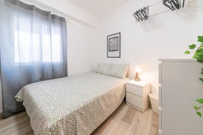 /international/es/senda-del-secanet-valencia-valencian-community-310093856656/?lang=zh-tw