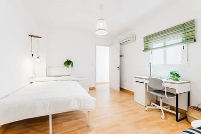/international/es/carrer-consol-valencia-valencian-community-310095281443/?lang=en