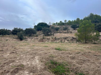 /international/es/molvizar-andalusia-310103537805/