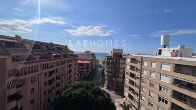 /international/es/el-campello-valencian-community-310108668797/