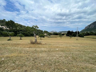 /international/es/215-diseminado-poligono-6-pollenca-balearic-islands-310101733290/