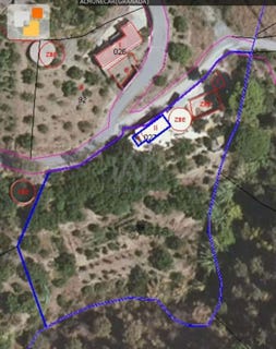 /international/es/ds-los-banuelos-pol-8-almucar-andalusia-310108836823/