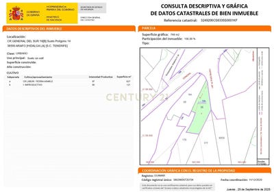 /international/es/arafo-canary-islands-310105894866/