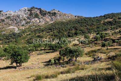 /international/es/grazalema-andalusia-310100642221/?lang=zh-tw