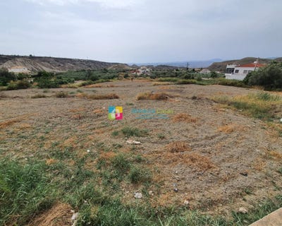 /international/es/partaloa-andalusia-120072959452/?lang=en
