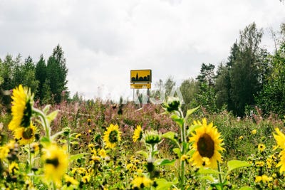 /international/fi/kaurakuja-3-toivakka-central-finland-310108111380/