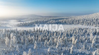 /international/fi/neulaskuja-kemijarvi-lapland-310106591950/