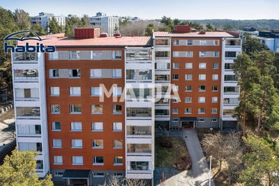 /international/fi/petkeltie-4-turku-southwest-finland-310107360640/