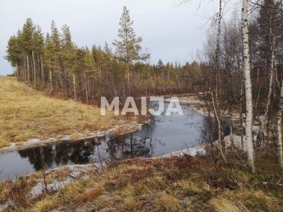 /international/fi/muoniontie-1038-enontekio-lapland-310105029539/