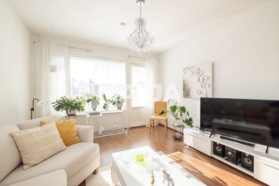 /international/fi/takajarventie-30-kemi-lapland-310106968624/