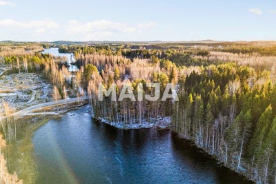 /international/fi/lamperilantie-56-kuopio-northern-savonia-310103635887/