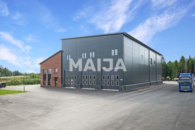 /international/fi/susiraja-6-joensuu-central-finland-310095715353/
