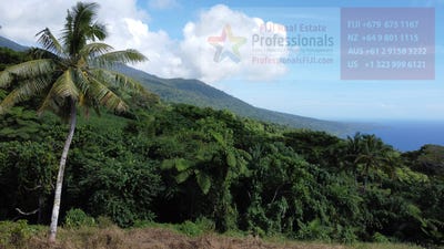 /international/fj/taveuni-northern-division-310106737400/