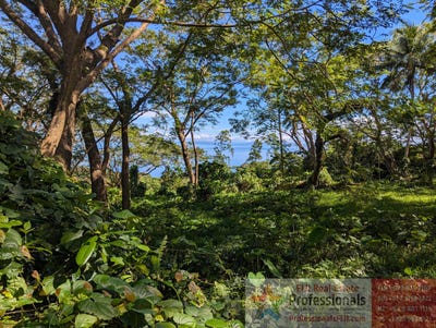 /international/fj/taveuni-northern-division-310101353198/?lang=en
