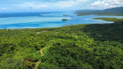 /international/fj/savusavu-northern-division-310107672795/