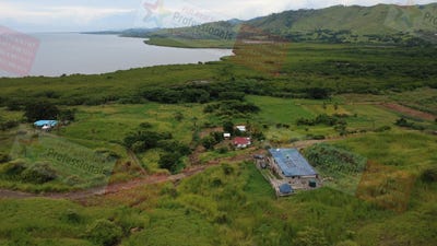 /international/fj/lautoka-western-division-310107217869/