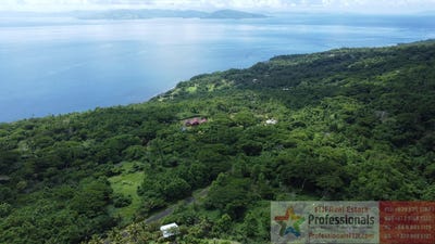 /international/fj/taveuni-northern-division-310108182484/