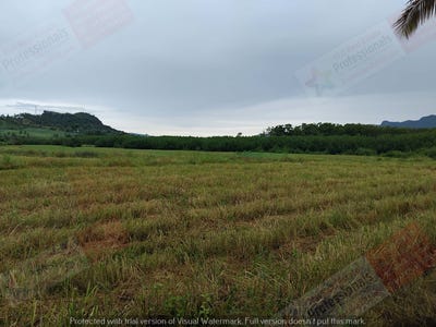 /international/fj/labasa-northern-division-310107672655/