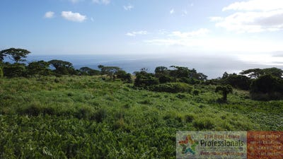 /international/fj/taveuni-northern-division-310108559229/