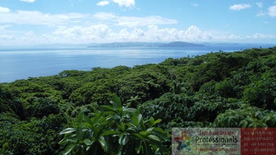 /international/fj/taveuni-northern-division-310108180748/