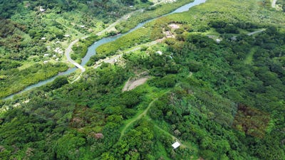 /international/fj/savusavu-northern-division-310106397491/