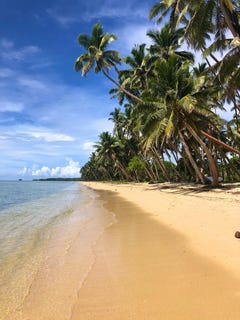 /international/fj/savusavu-northern-division-310106459296/