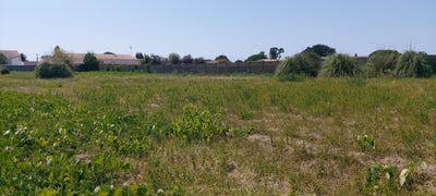 /international/fr/bourcefranc-le-chapus-charente-310120032379/