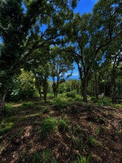 /international/fr/brando-corsica-310108247274/