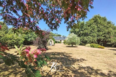 /international/fr/auray-brittany-310102729568/