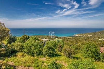 /international/fr/corbara-corsica-310107450724/